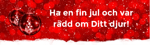 Ha en fin jul och var rädd om Ditt djur!